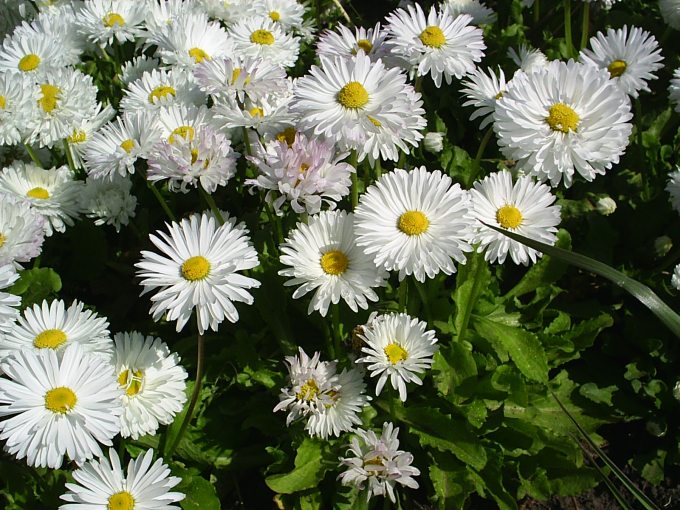 2004-05-21 09-57-46.jpg